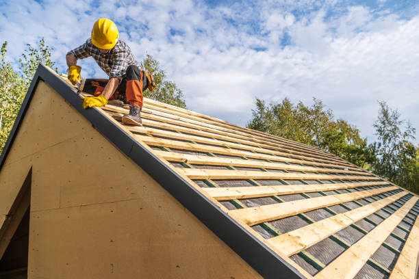 Best Roof Gutter Cleaning  in Mamou, LA