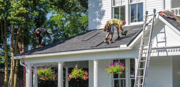 Best Storm Damage Roof Repair  in Mamou, LA