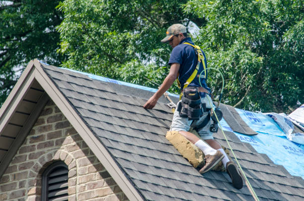 Professional Roofing Contractor in Mamou, LA